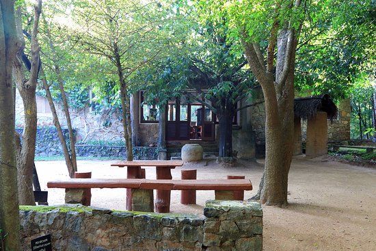 Parc Popham's Arboretum