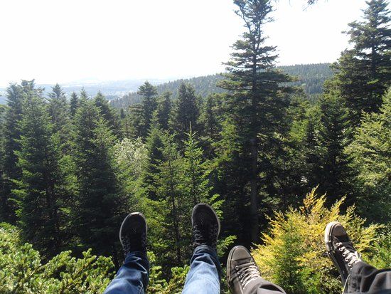 Parcours Aventure de l'Ecureuil