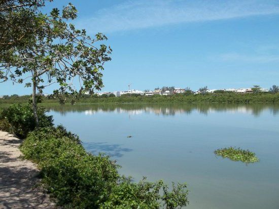 Parc municipal Chico Mendes