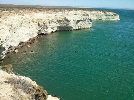 Loberia de Punta Loma