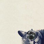 Myonize Western Corner