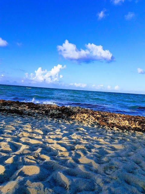 Parc North Shore Open Space Park