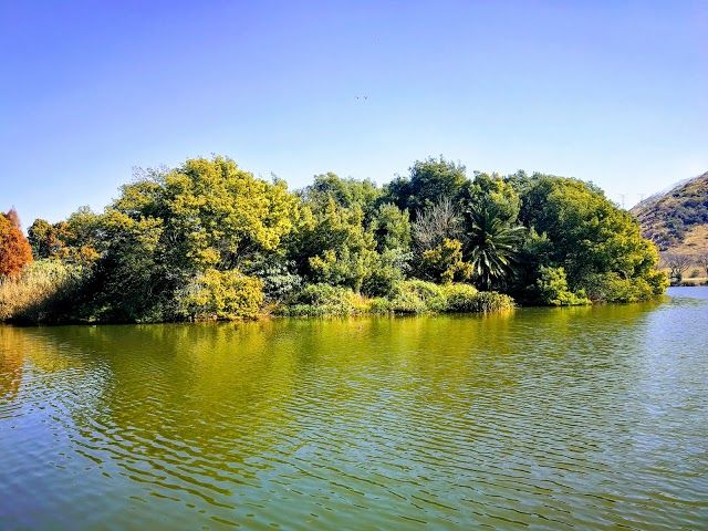 Parc Gillooly's Farm