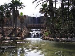 El Palmeral