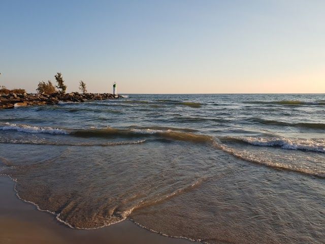 Plage Wellington Rotary Beach