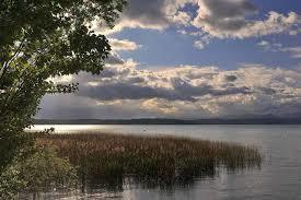 Oasis San Francesco del Garda