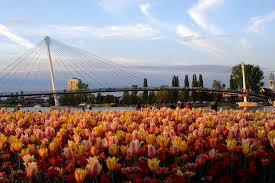 Jardin des Deux Rives