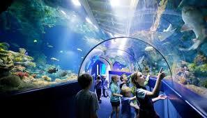 Aquarium de Bristol