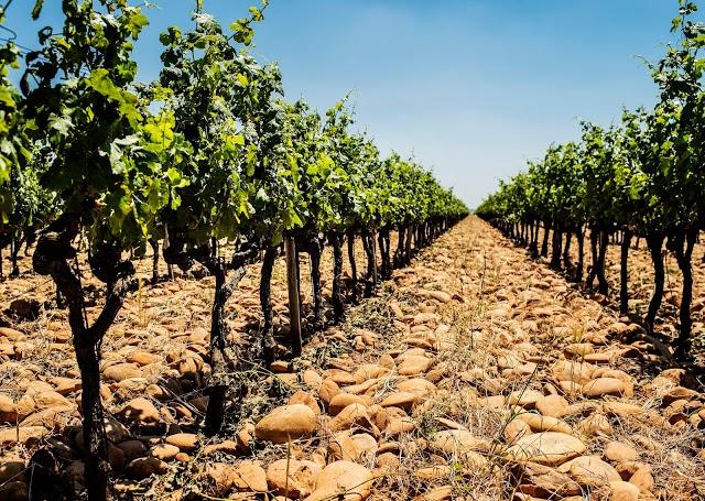 Domaine de la Mordoree