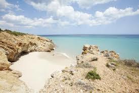 Attraction touristique Pinus Village