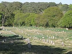 Alignements de Kermario