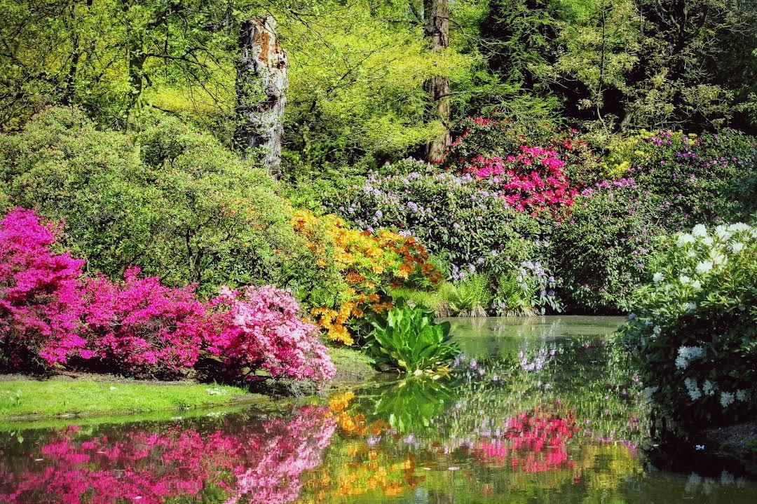 Jardins et arboretum de Trompenburg