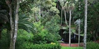 Jardin Antonio Borges