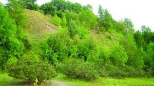 Marford Quarry
