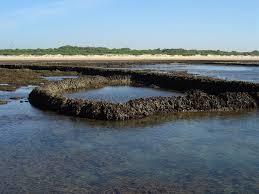 Plage et réserve naturelle Corrales de Rota