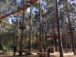 Parc d'aventure Go Ape à Bracknell
