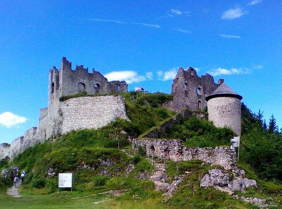 Ruines du château Ehrenberg