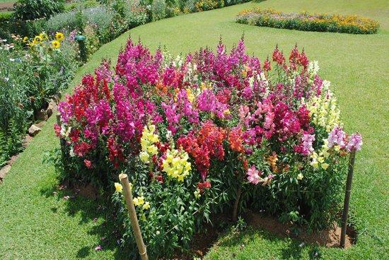 Parc Victoria de Nuwara Eliya