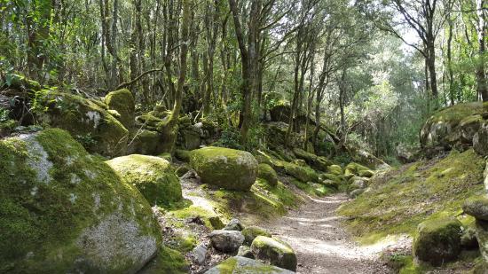 Site archéologique de Cucuruzzu