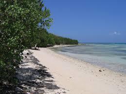 Anse du Mancenillier