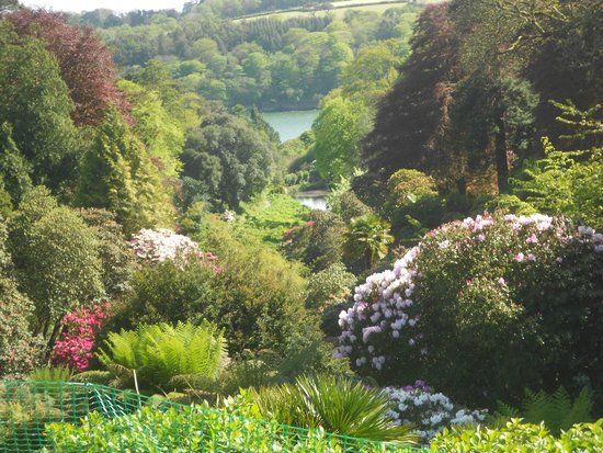 Jardin botanique Trebah