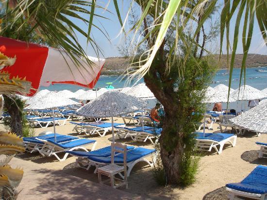 The Beach House Cafe