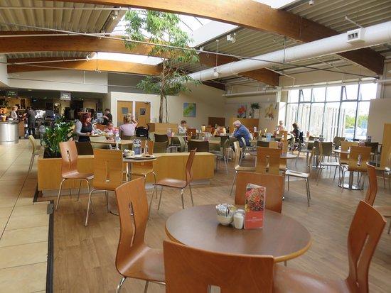 Dobbies Coffee To Go