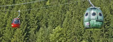 Telecabine Waidring-Steinplatte