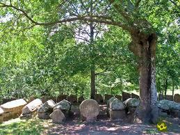 Necropolis d'Argineta