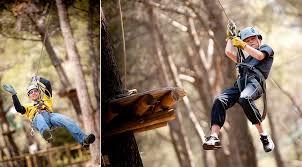 Le Royaume des Arbres - Le Castellet