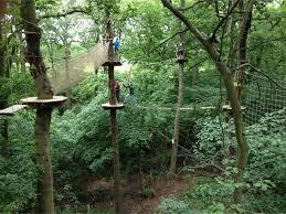 Go Ape Trent Park