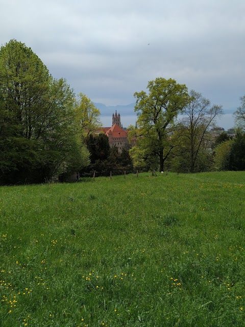 Fondation de l'Hermitage