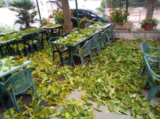 Restaurant La Petite Auberge