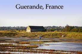 Marais salants de Guérande