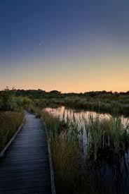 Réserve naturelle régionale du marais de Condette