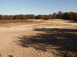 Bakkeveense Duinen