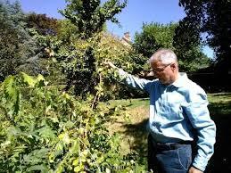 Arboretum du Perche à Boiscorde