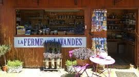 La Ferme aux Lavandes