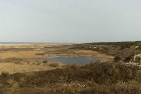 Réserve naturelle nationale de la baie de Somme