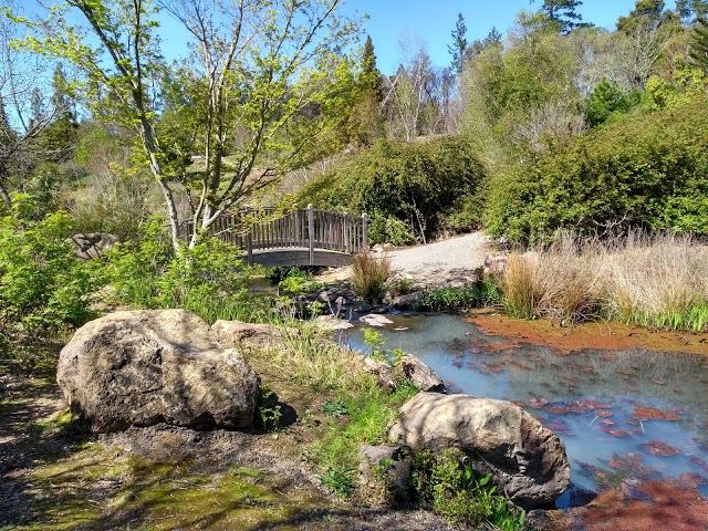 Quarryhill Botanical Garden