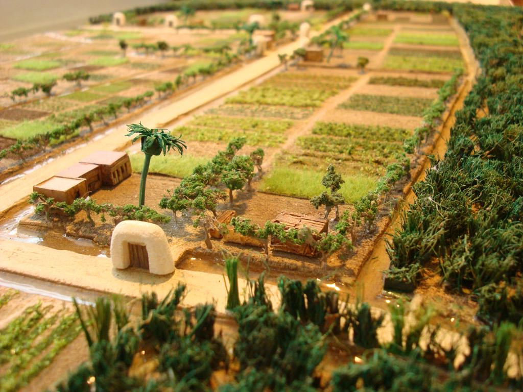 Zone humide Ses Feixes