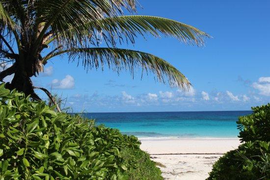 Plage Pink Sand