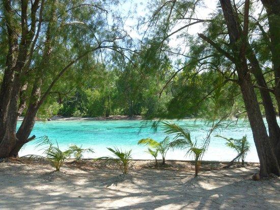 Plage de Tiahura