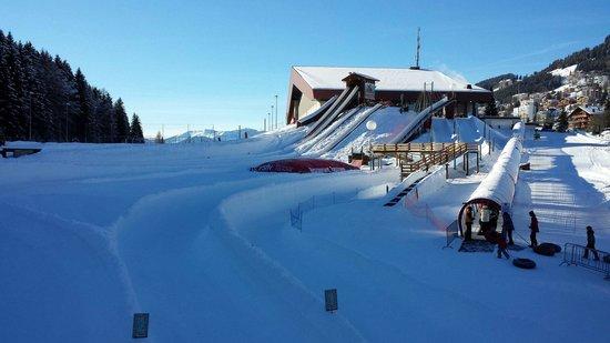 Activité ludique Tobogganing Park