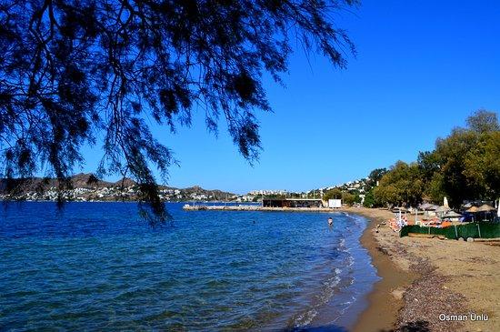 Plage de Poniente