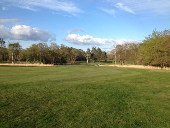 Club de golf Brockenhurst Manor
