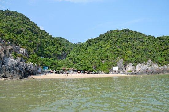 Plage Cat Co