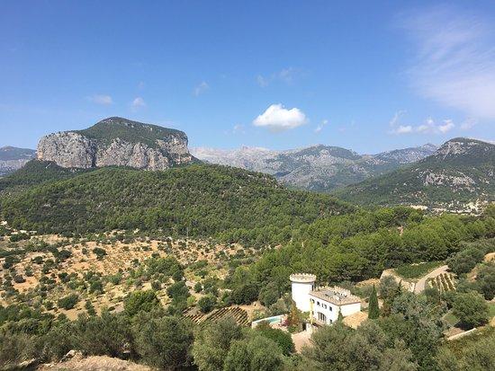 Bodega Castell Miquel