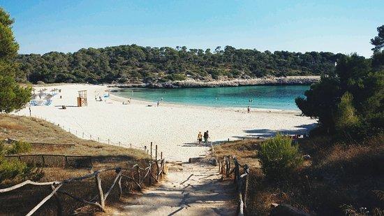 Plage de S'Amarador