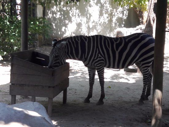 Parc zoologique de Barranquilla